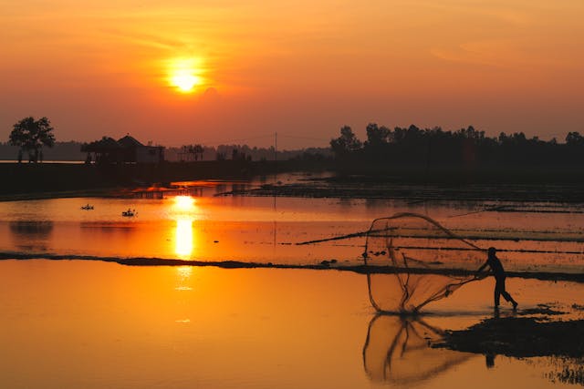 Tanguar Haor Boat Price & Tour Packages