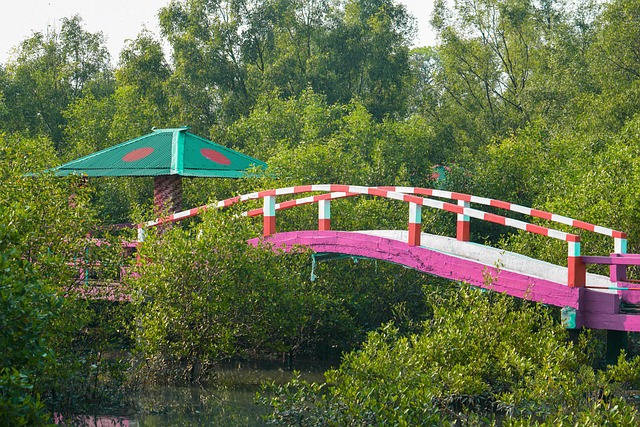 Sundarban Tour Packages from Khulna