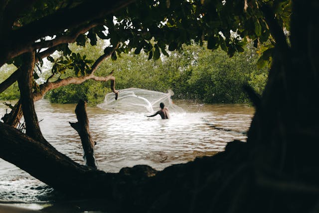 The Sundarban Mangrove Forest: A Traveler's Guide to Earth's Living Labyrinth