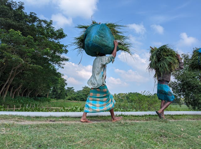People of the Sundarbans: Culture & Communities